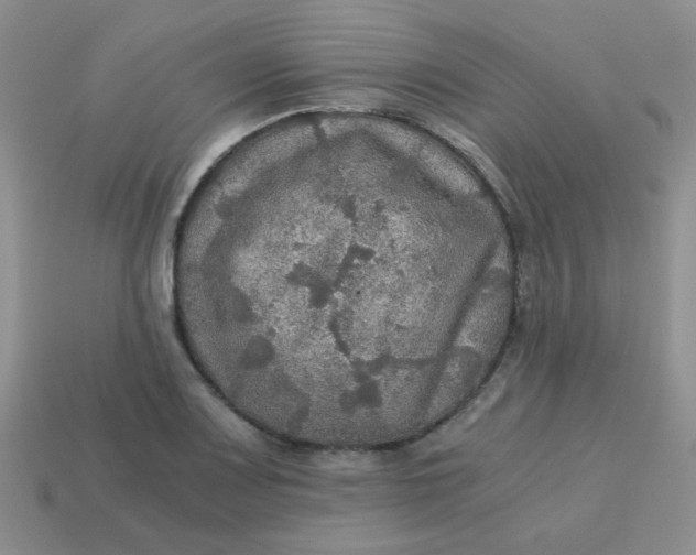 X0000113601083200910091516