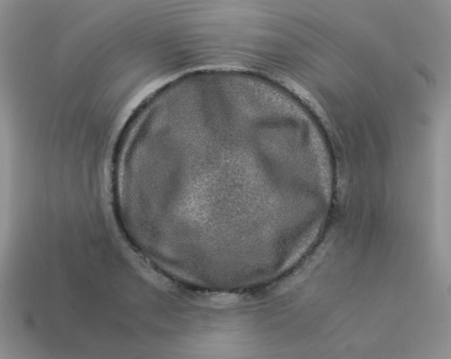 X0000113601085200910091516