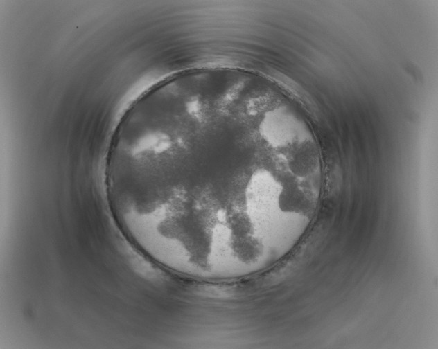 X0000113601086200910091516