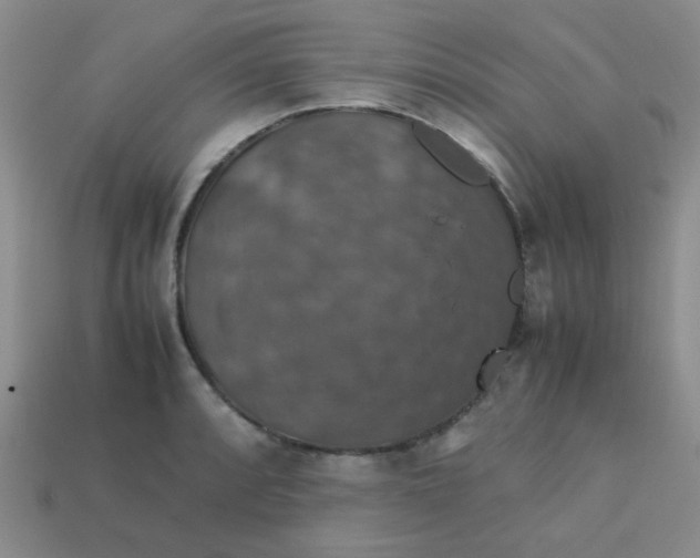 X0000113601088200910091516