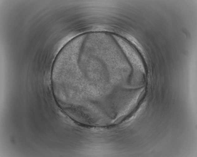 X0000113601089200910091516