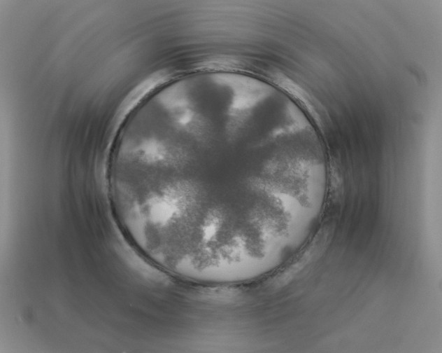 X0000113601090200910091516