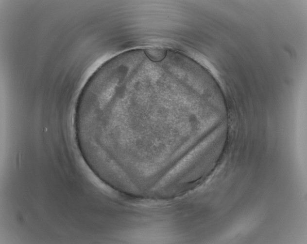 X0000113601091200910091515