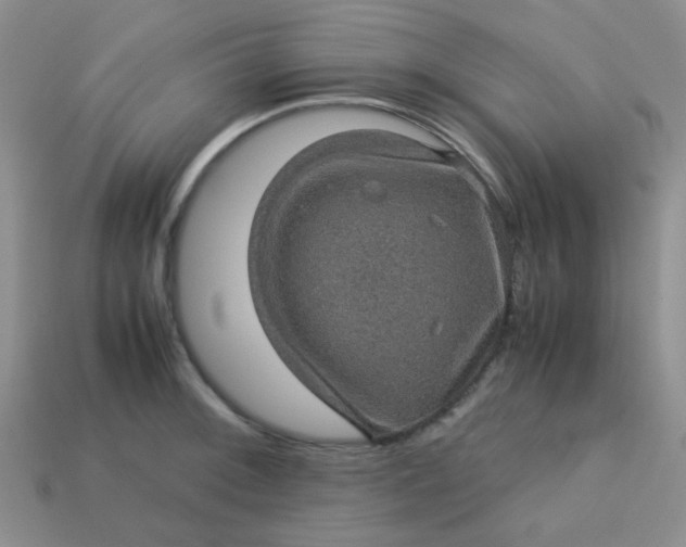 X0000113601092200910091515