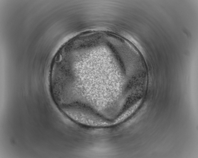 X0000113601093200910091515