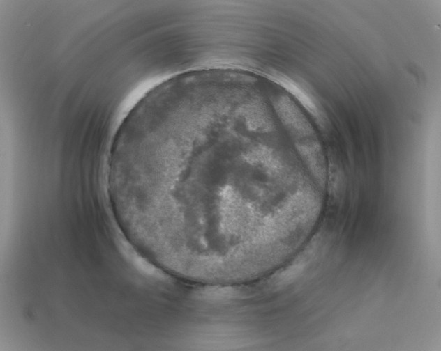 X0000113601094200910091515