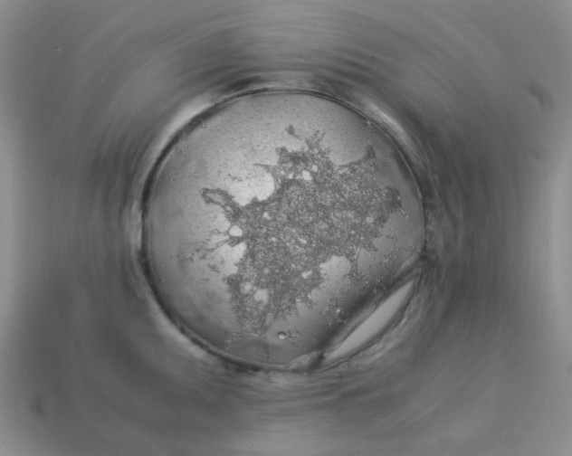 X0000113601095200910091515