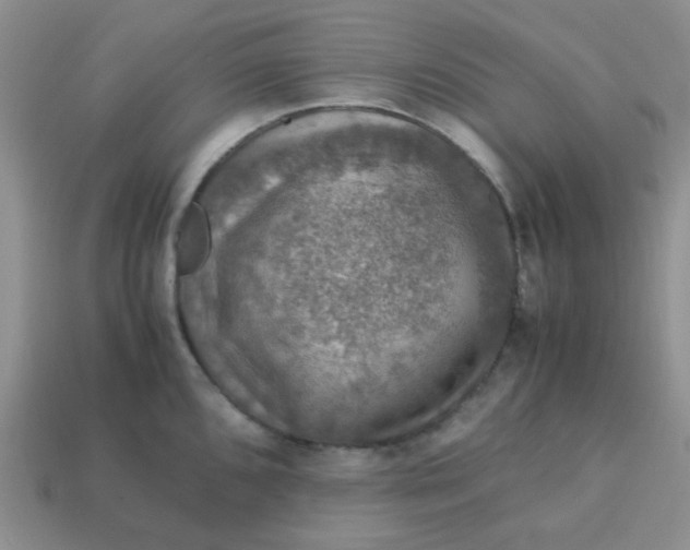 X0000113601096200910091515