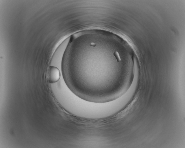 X0000113601097200910091515