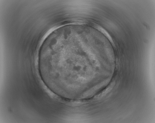 X0000113601099200910091515