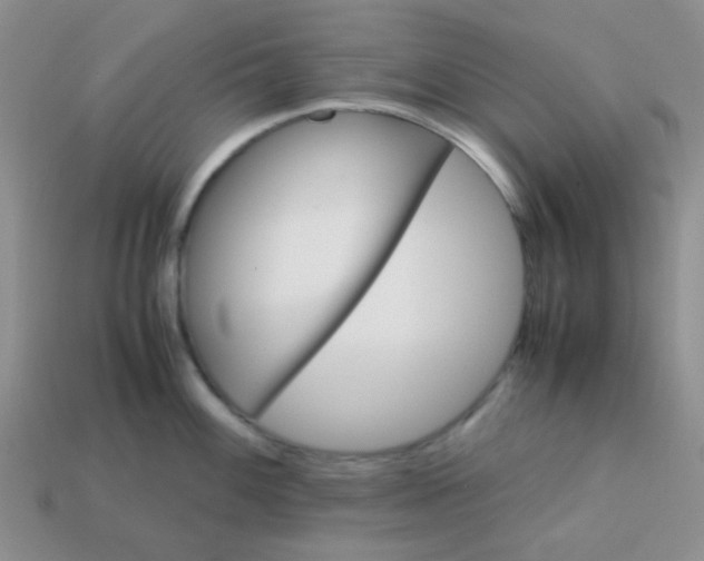 X0000113601100200910091515