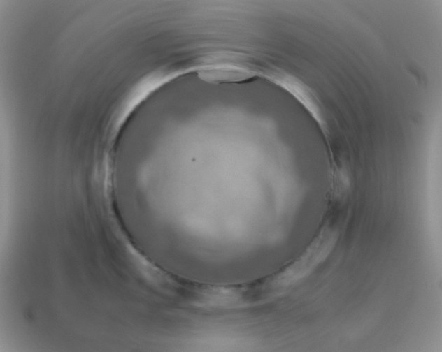 X0000113601101200910091515