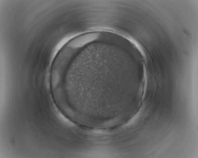 X0000113601102200910091515