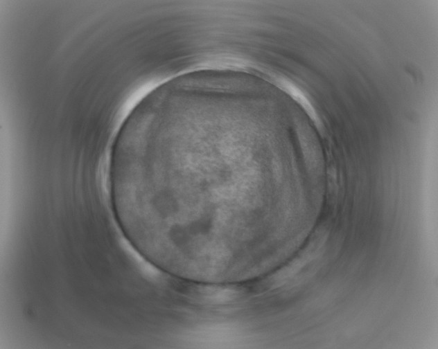 X0000113601103200910091515