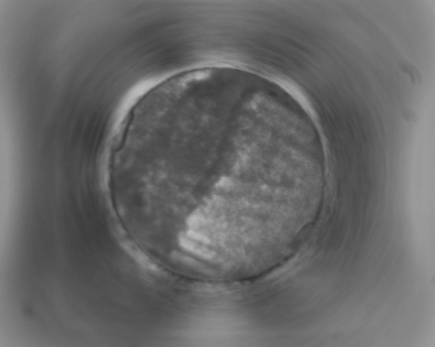 X0000113601104200910091515