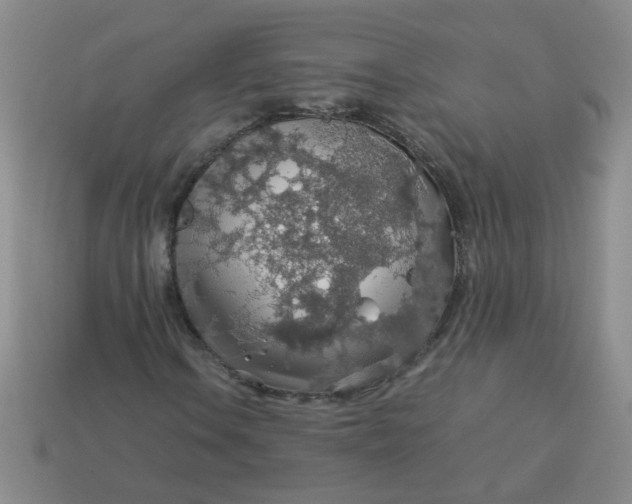 X0000113601106200910091515