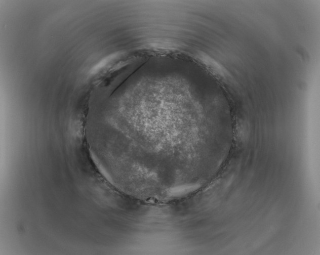 X0000113601110200910091515