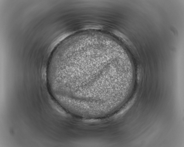 X0000113601113200910091515