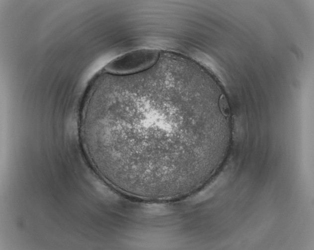 X0000113601114200910091515