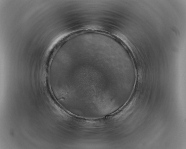 X0000113601115200910091515