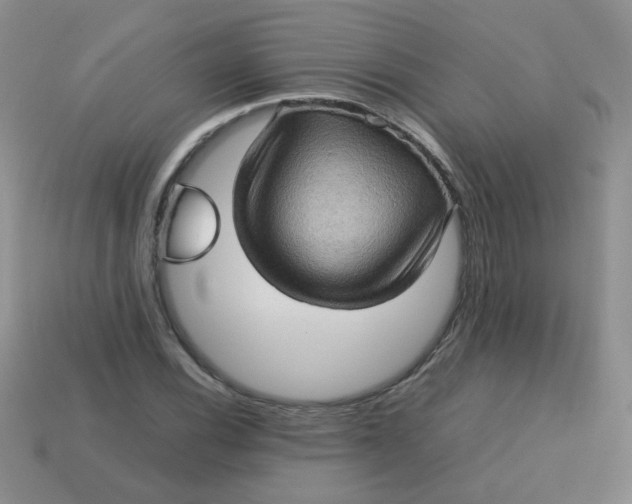 X0000113601116200910091515