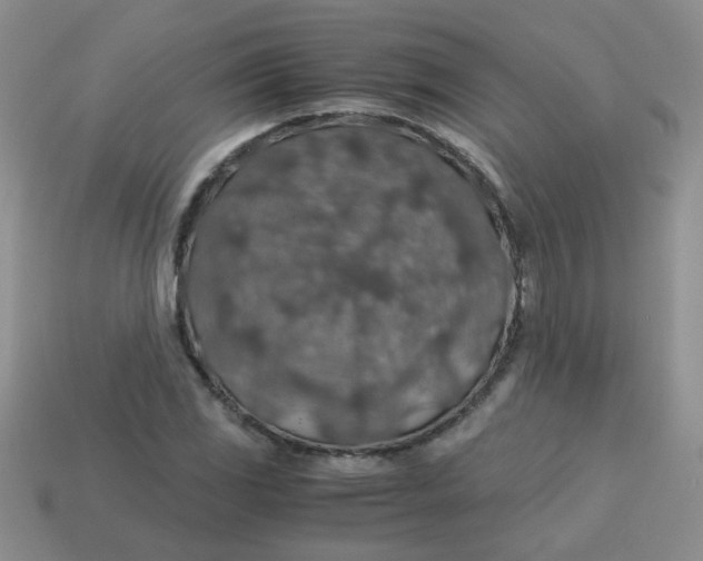 X0000113601117200910091515