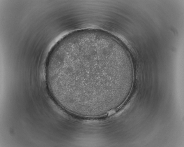 X0000113601118200910091515