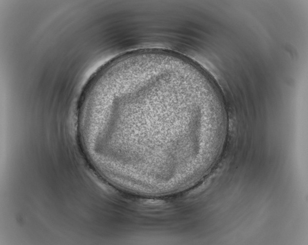 X0000113601119200910091515