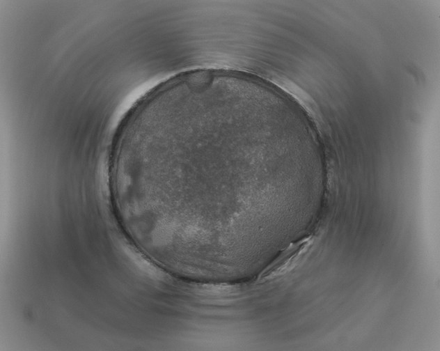 X0000113601120200910091515