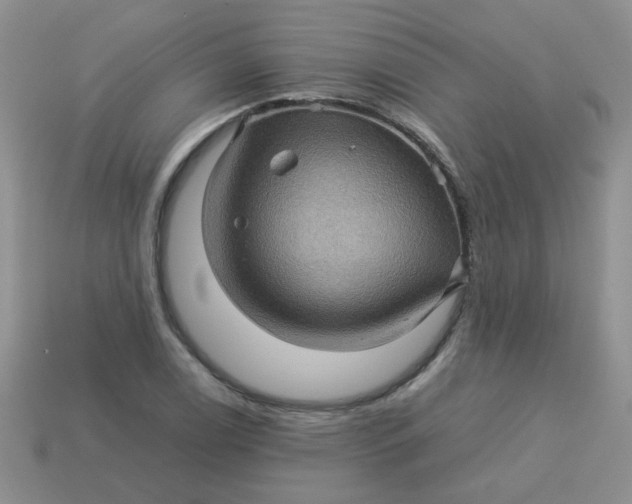 X0000113601122200910091515