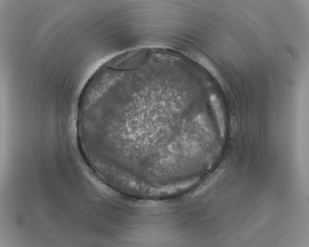 X0000113601124200910091515