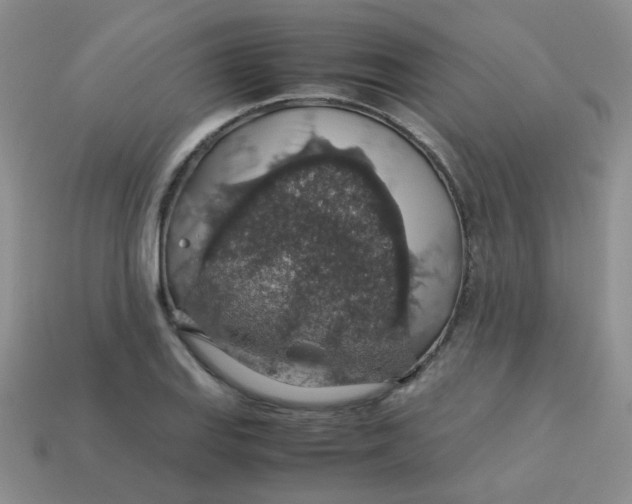 X0000113601127200910091515