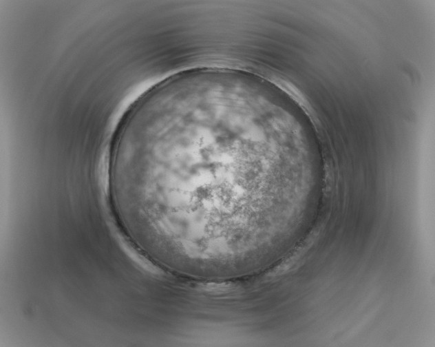 X0000113601128200910091515