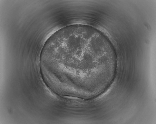 X0000113601129200910091515