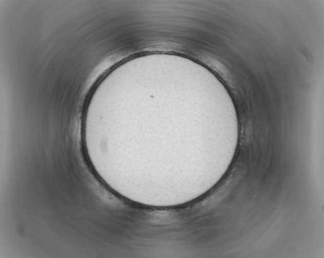 X0000113601130200910091515