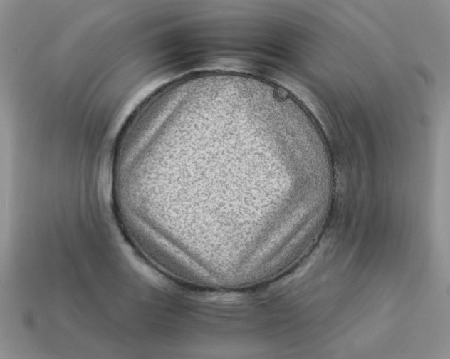 X0000113601131200910091515