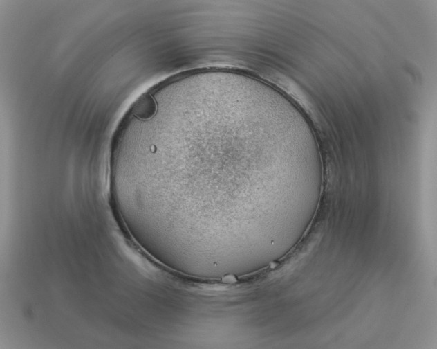 X0000113601132200910091515