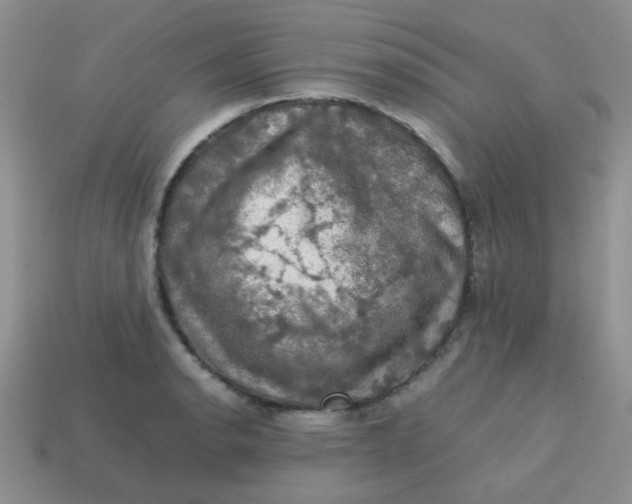 X0000113601134200910091515