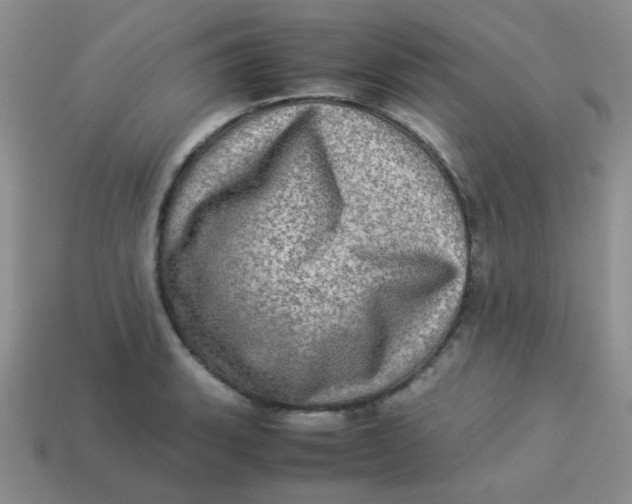 X0000113601135200910091515