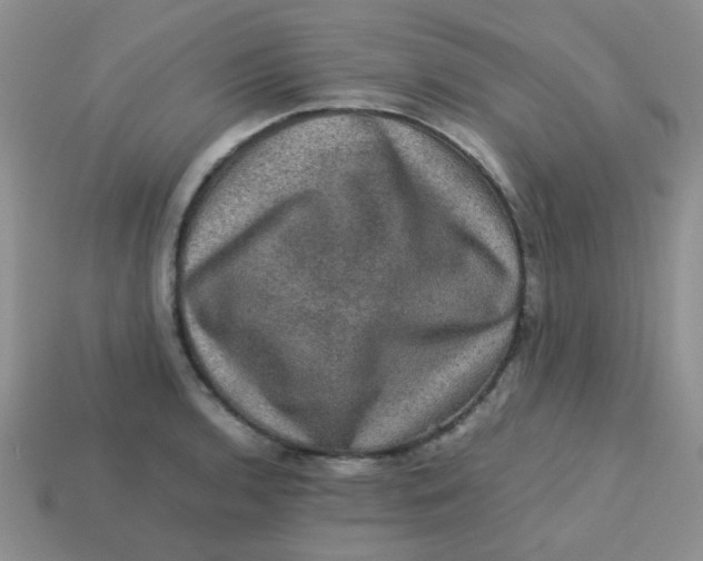 X0000113601136200910091515