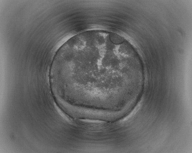 X0000113601137200910091515