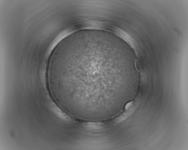 X0000113601138200910091515