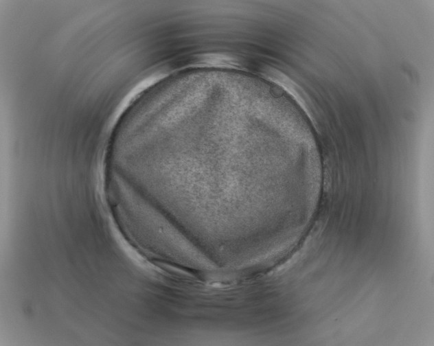 X0000113601139200910091515