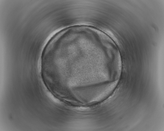 X0000113601140200910091515