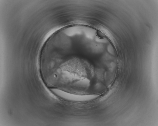 X0000113601141200910091515