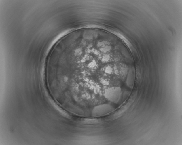 X0000113601142200910091515