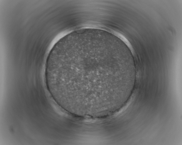 X0000113601146200910091515