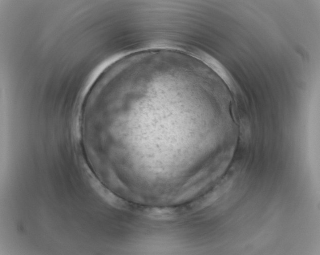 X0000113601148200910091515