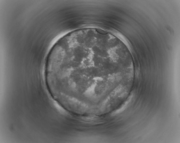 X0000113601149200910091515