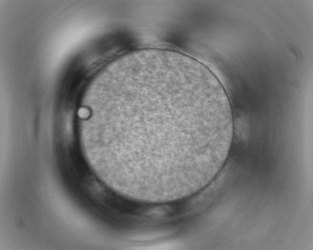 X0000113601150200910091515